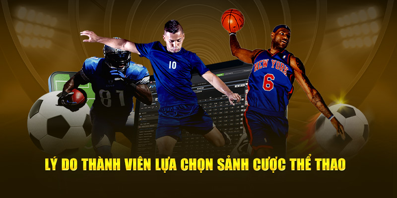 Lý do thành viên lựa chọn sảnh cược thể thao