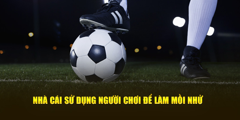 Nhà cái sử dụng người chơi để làm mồi nhử