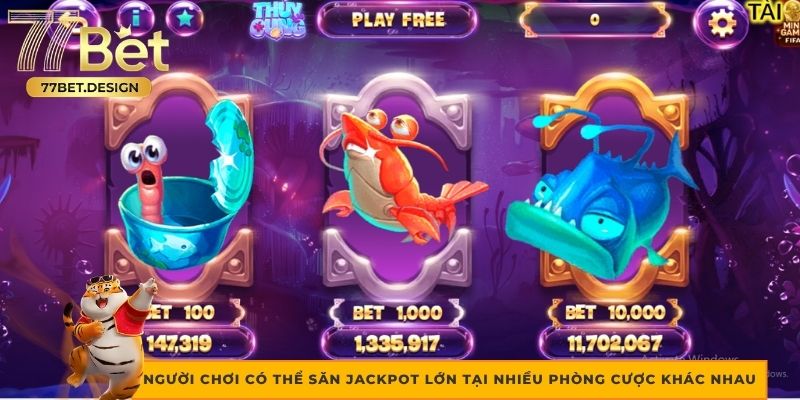 Người chơi có thể săn jackpot lớn tại nhiều phòng cược khác nhau