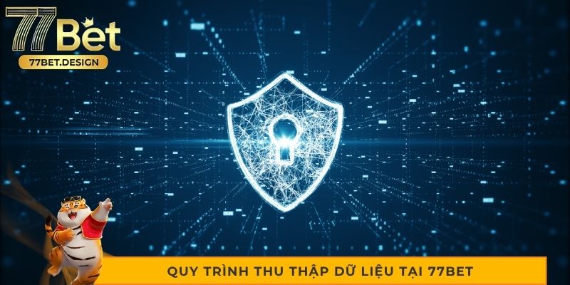 Quy trình thu thập dữ liệu tại 77bet